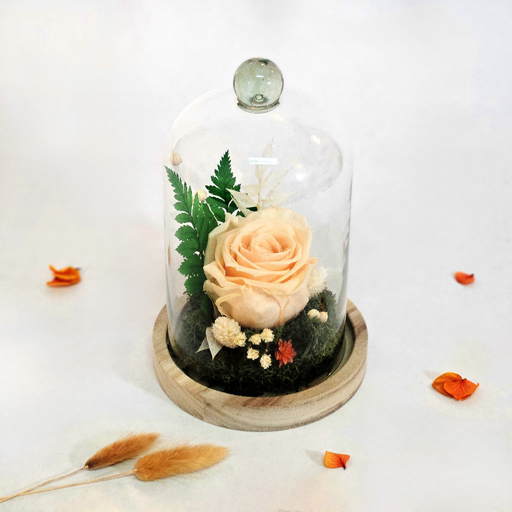 Cloche Fleuries Rose Beige