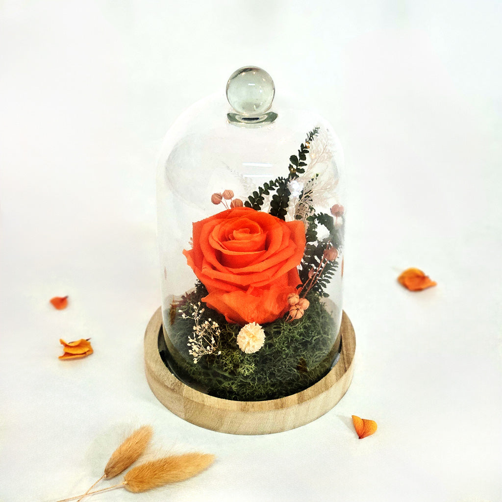 Cloche Fleuries Rose Orange