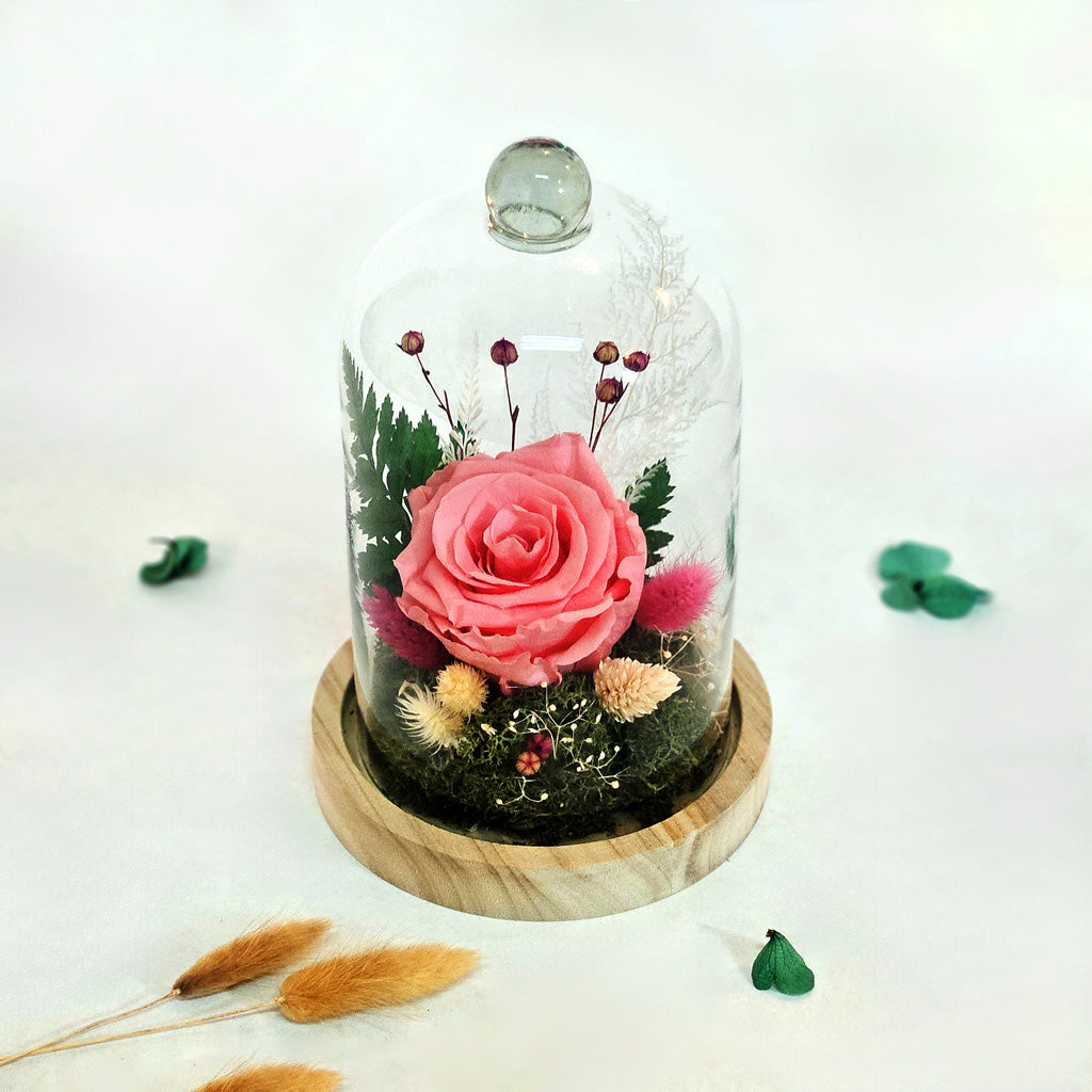 Cloche Fleuries Rose Rose