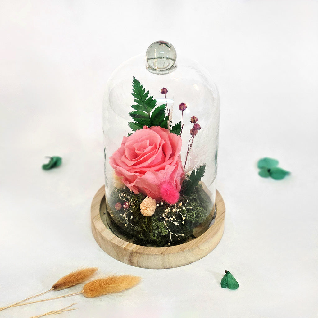 Cloche Fleuries Rose Rose