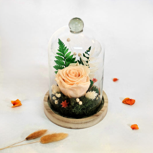 Cloche Fleuries Rose Beige