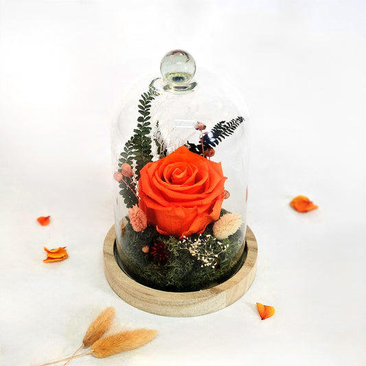 Cloche Fleuries Rose Orange